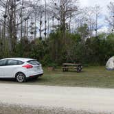 Review photo of Burns Lake Campground — Big Cypress National Preserve by Melissa W., February 25, 2019