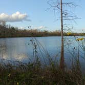 Review photo of Burns Lake Campground — Big Cypress National Preserve by Melissa W., February 25, 2019