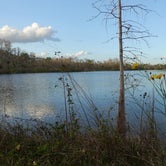 Review photo of Burns Lake Campground — Big Cypress National Preserve by Melissa W., February 25, 2019