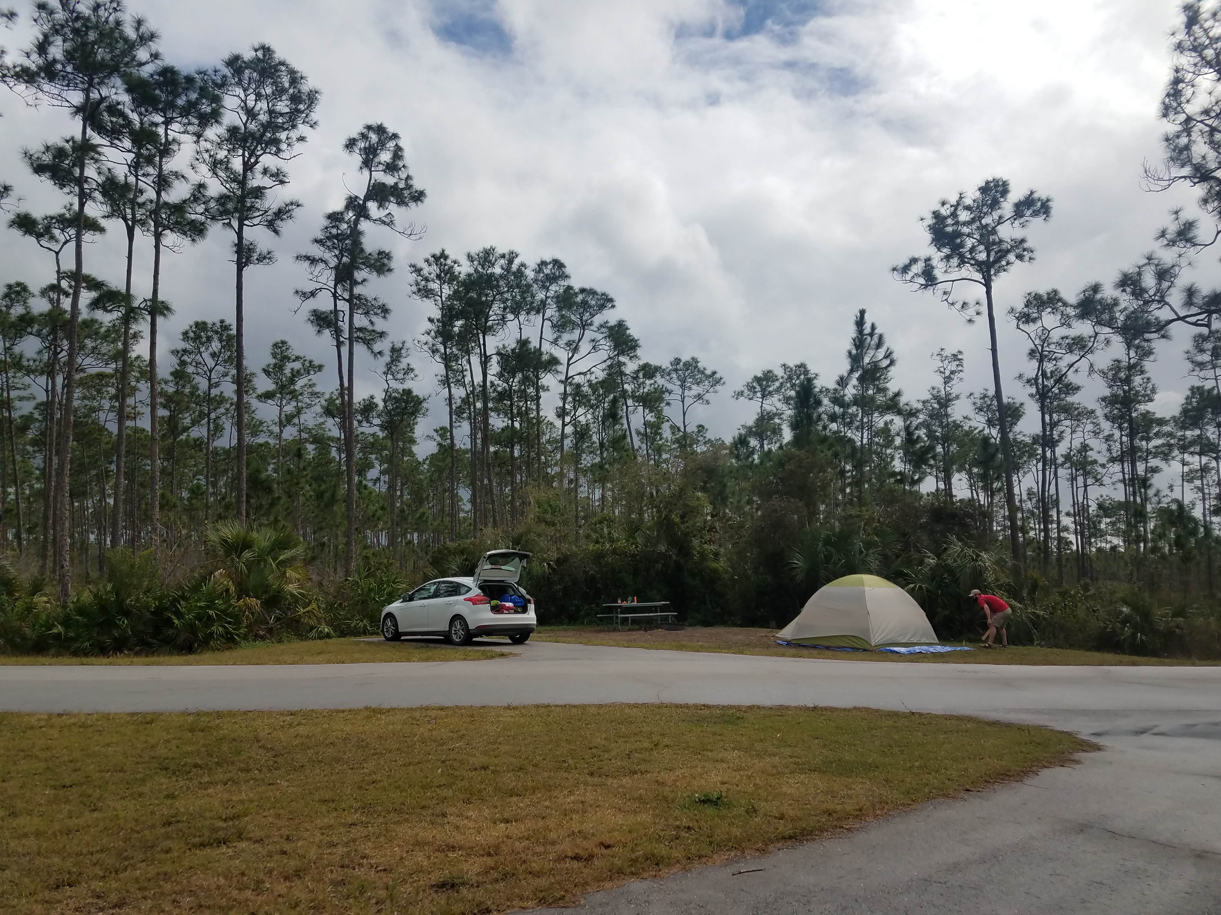 Melissa W.'s photo at Long Pine Key Campground — Everglades National Park near Palmetto Bay, FL
