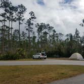 Review photo of Long Pine Key Campground — Everglades National Park by Melissa W., February 25, 2019