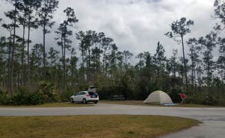 Melissa W.'s photo at Long Pine Key Campground — Everglades National Park near Biscayne National Park