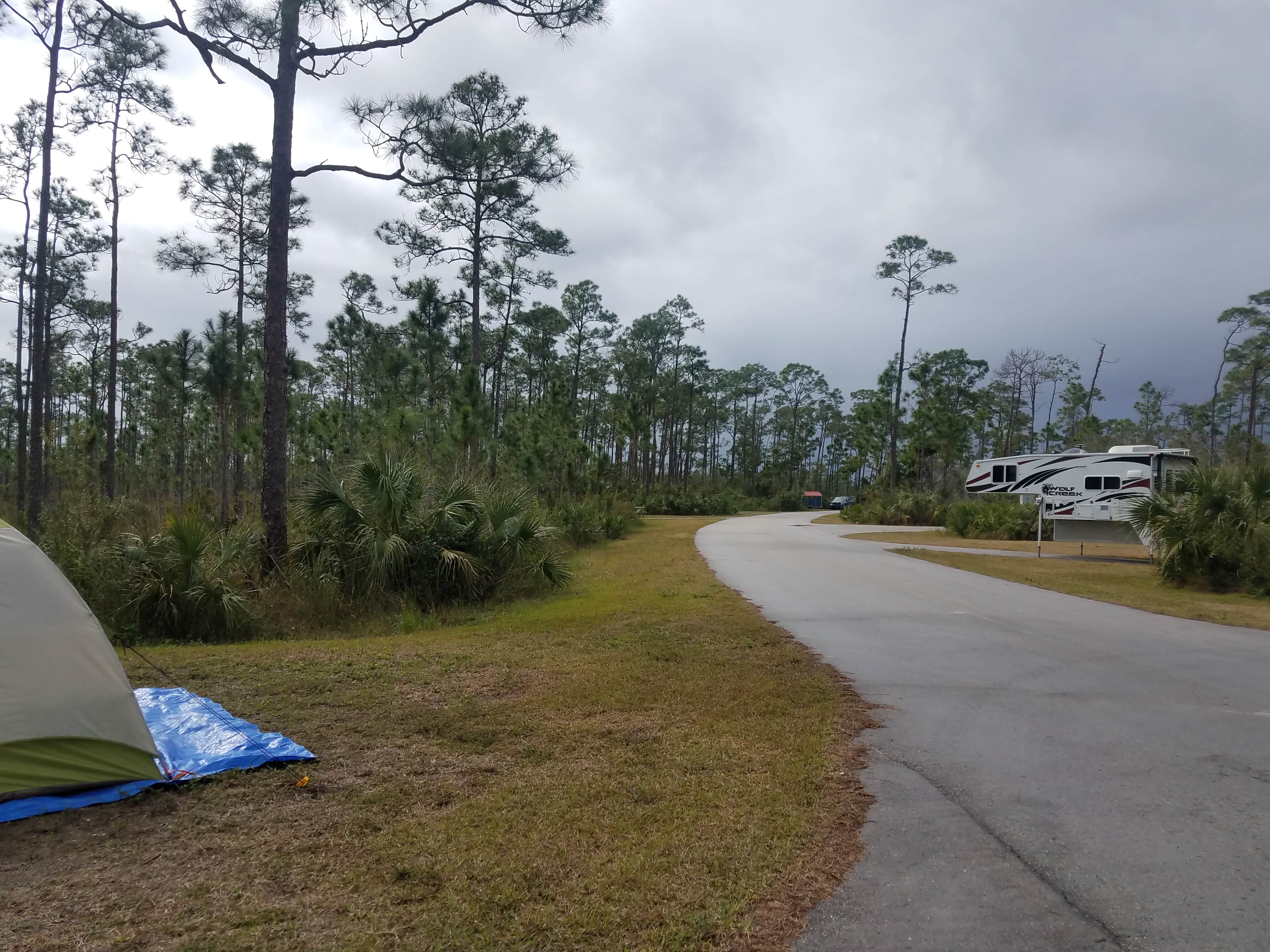 Melissa W.'s photo at Long Pine Key Campground — Everglades National Park near Biscayne National Park