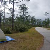 Review photo of Long Pine Key Campground — Everglades National Park by Melissa W., February 25, 2019