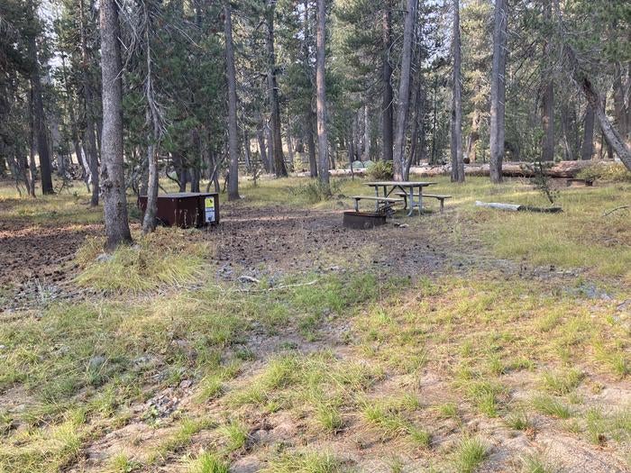 Camper submitted image from Porcupine Flat Campground — Yosemite National Park - 1