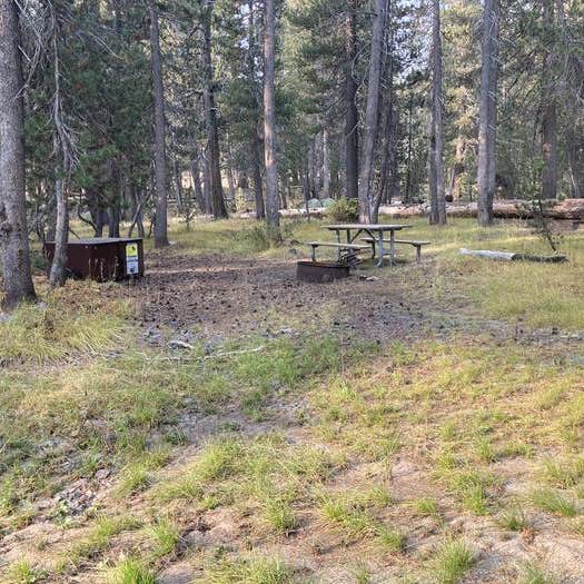 Porcupine Flat Campground — Yosemite National Park