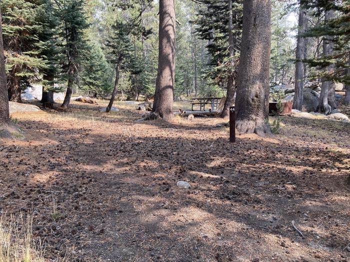 Camper submitted image from Porcupine Flat Campground — Yosemite National Park - 3
