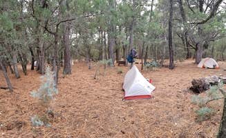 Jered K.'s photo of tent camping at Happy Valley Saddle Campground — Saguaro National Park in Arizona