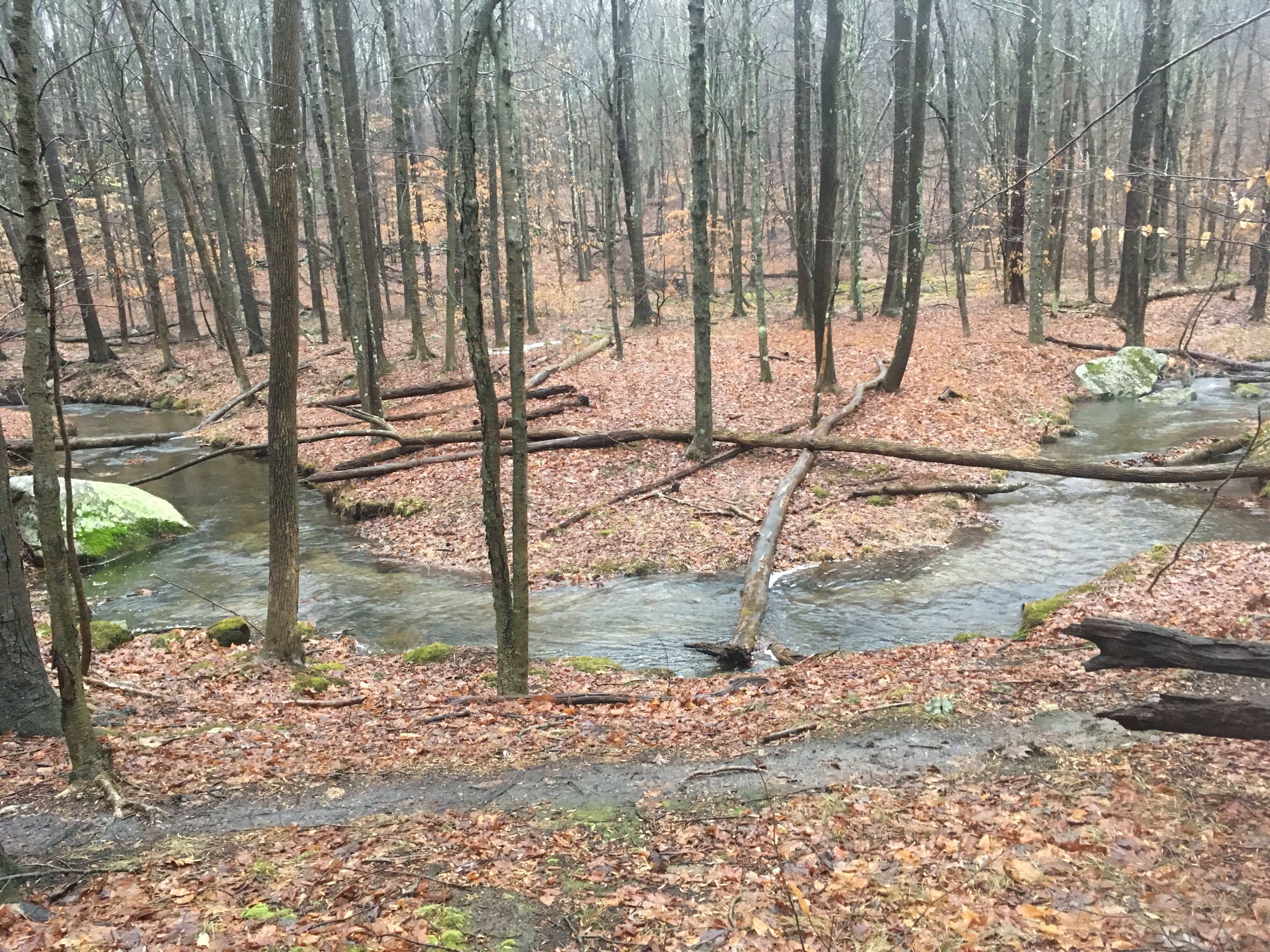 Camper submitted image from Mountain Lakes Park - 2