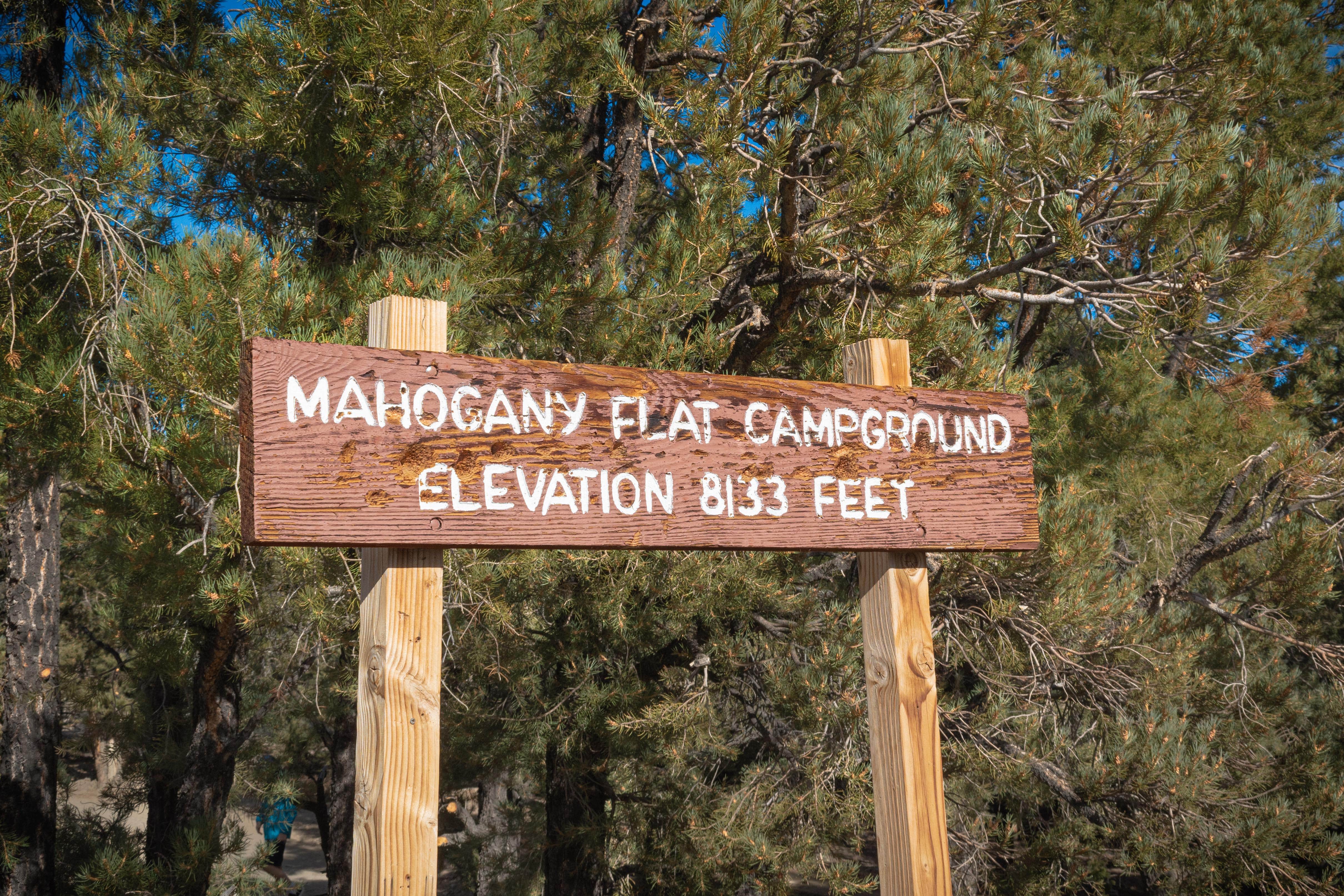 Camping near Wildrose Campground — Death Valley National Park: Mahogany Flat Primitive Campground — Death Valley National Park, Darwin, California