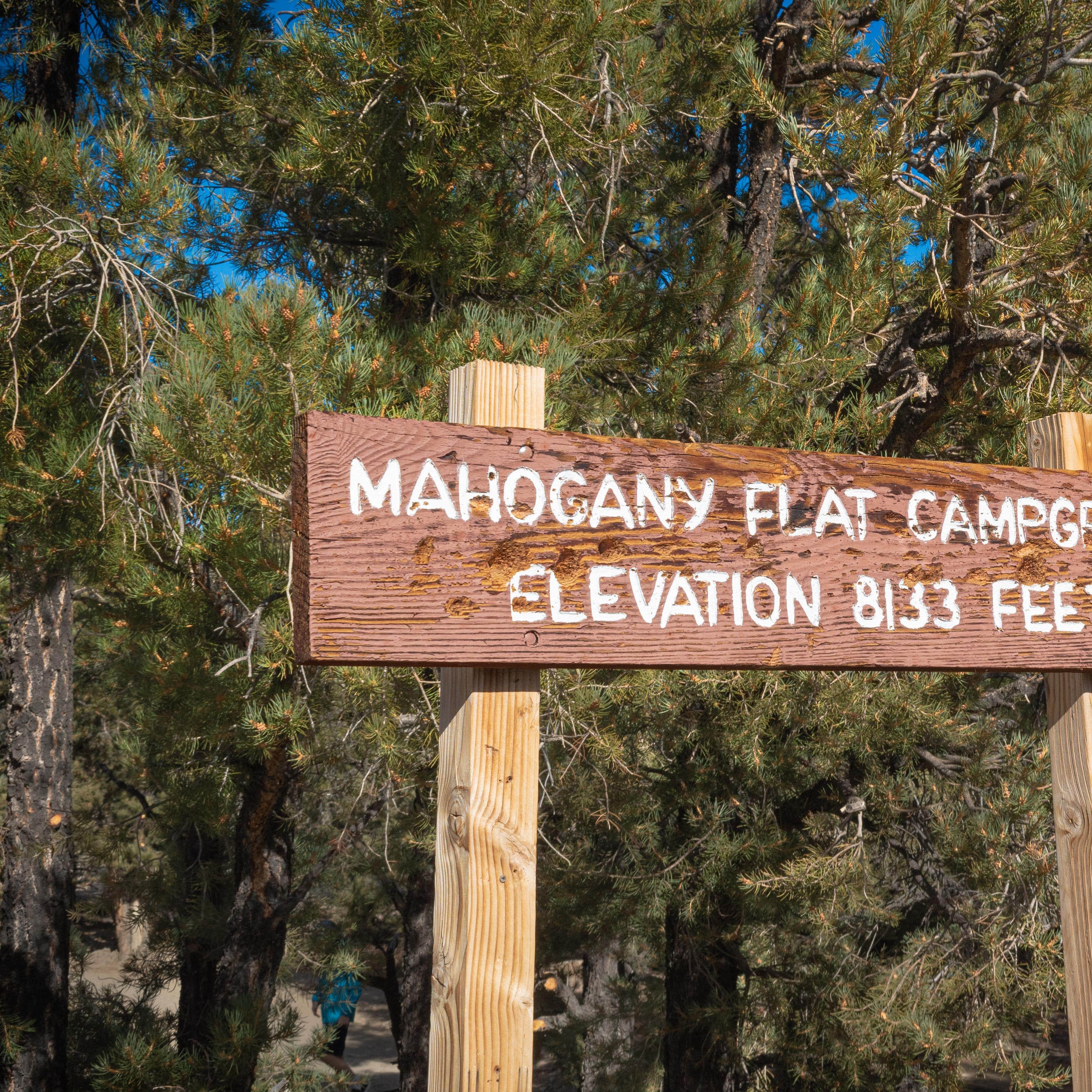 Mahogany Flat Primitive Campground — Death Valley National Park