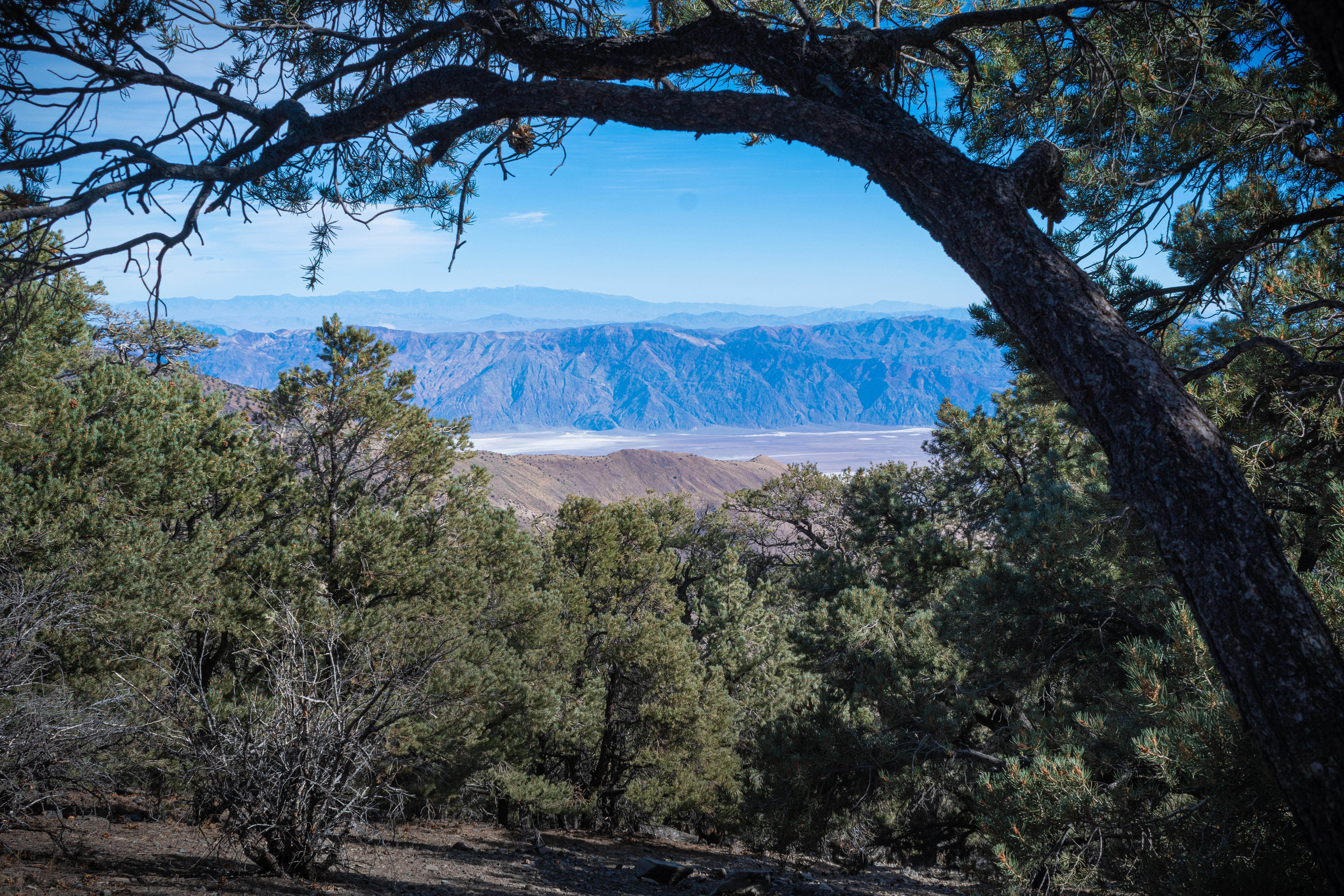 Camper-submitted photo at Mahogany Flat Primitive Campground — Death Valley National Park near Death Valley National Park