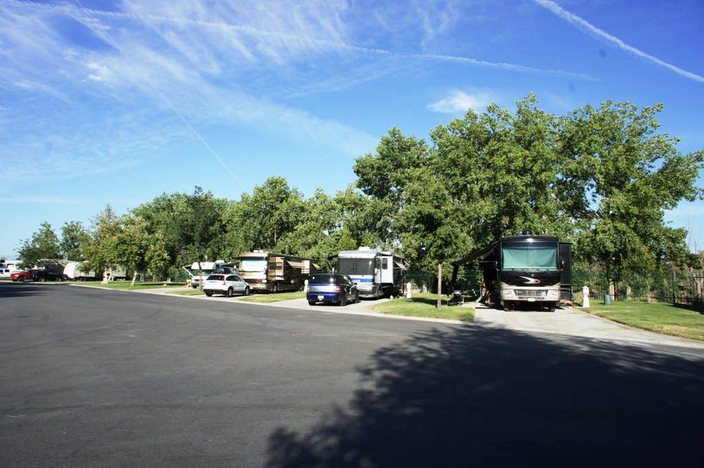 Camper submitted image from Bakersfield River Run RV Park - 4