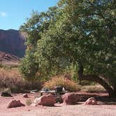 Review photo of Big Bend Group Sites by Christy K., July 15, 2015