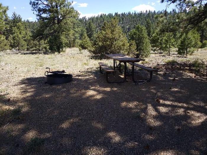 Camper submitted image from Rio Grande National Forest Mogote Campground - 2