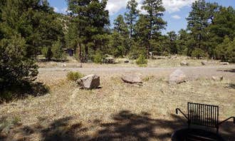 Camping near Upper Lagunitas Campground: Rio Grande National Forest Mogote Campground, Antonito, Colorado