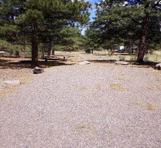 Camper-submitted photo from Rio Grande National Forest Mogote Campground
