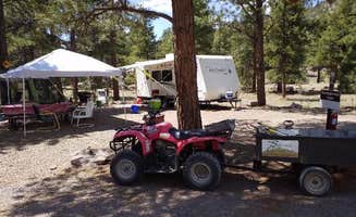 The Dyrt's photo at Rio Grande National Forest Mogote Campground near La Jara, CO
