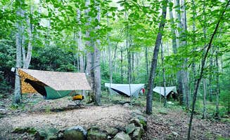 Emily L.'s photo at Blackberry Blossom Campground near Hampton, TN