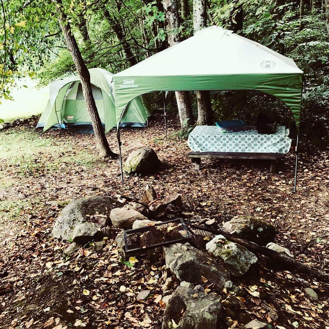 Jewelweed Falls campsite.