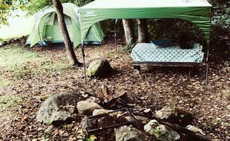 Emily L.'s photo of tent camping at Blackberry Blossom Campground near Newland, NC
