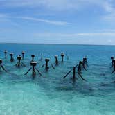 Review photo of Garden Key Campground — Dry Tortugas National Park by Melissa W., February 26, 2019