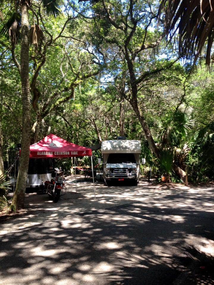 Camper submitted image from Anastasia State Park Campground - 3