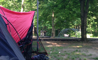 Melissa M.'s photo at A.W. Marion State Park Campground near Mount Sterling, OH