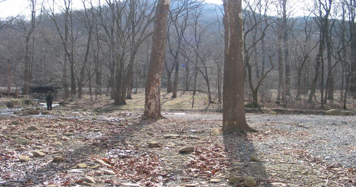 Stone Cliff Campground — New River Gorge National Park and Preserve