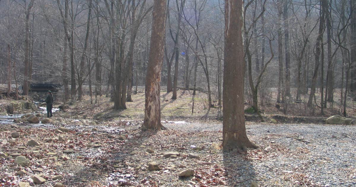Stone Cliff Campground — New River Gorge National Park and Preserve