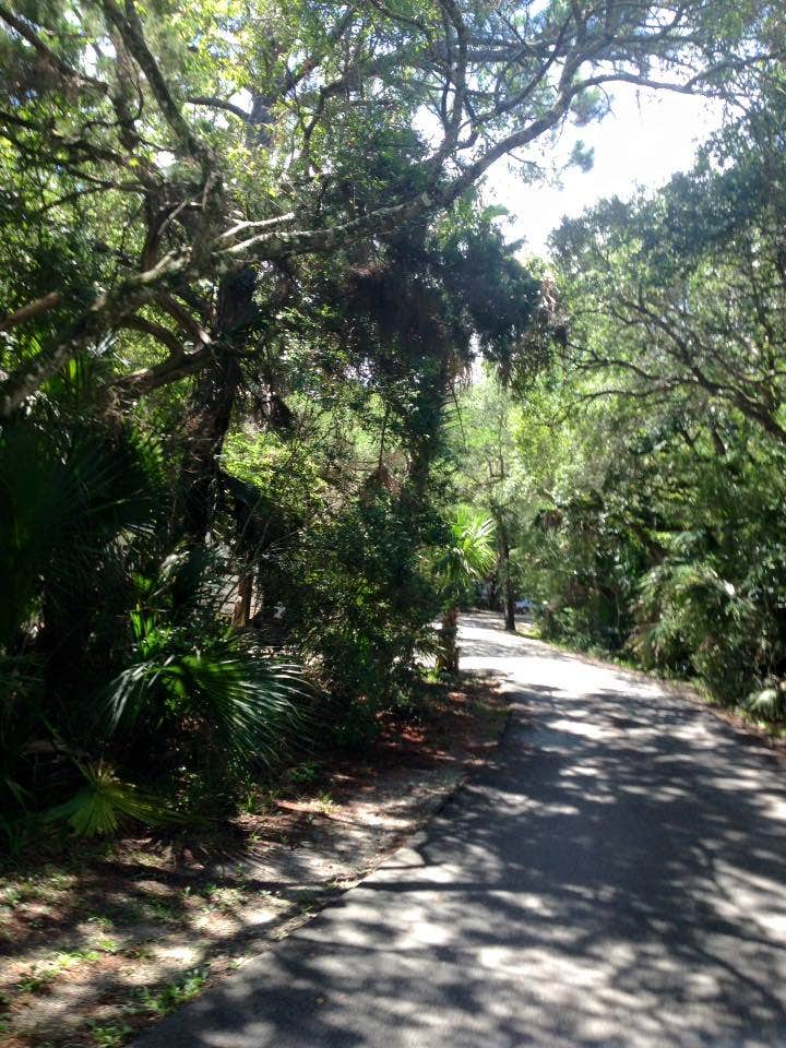Camper submitted image from Anastasia State Park Campground - 4