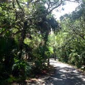 Review photo of Anastasia State Park Campground by Laurie F., August 24, 2016