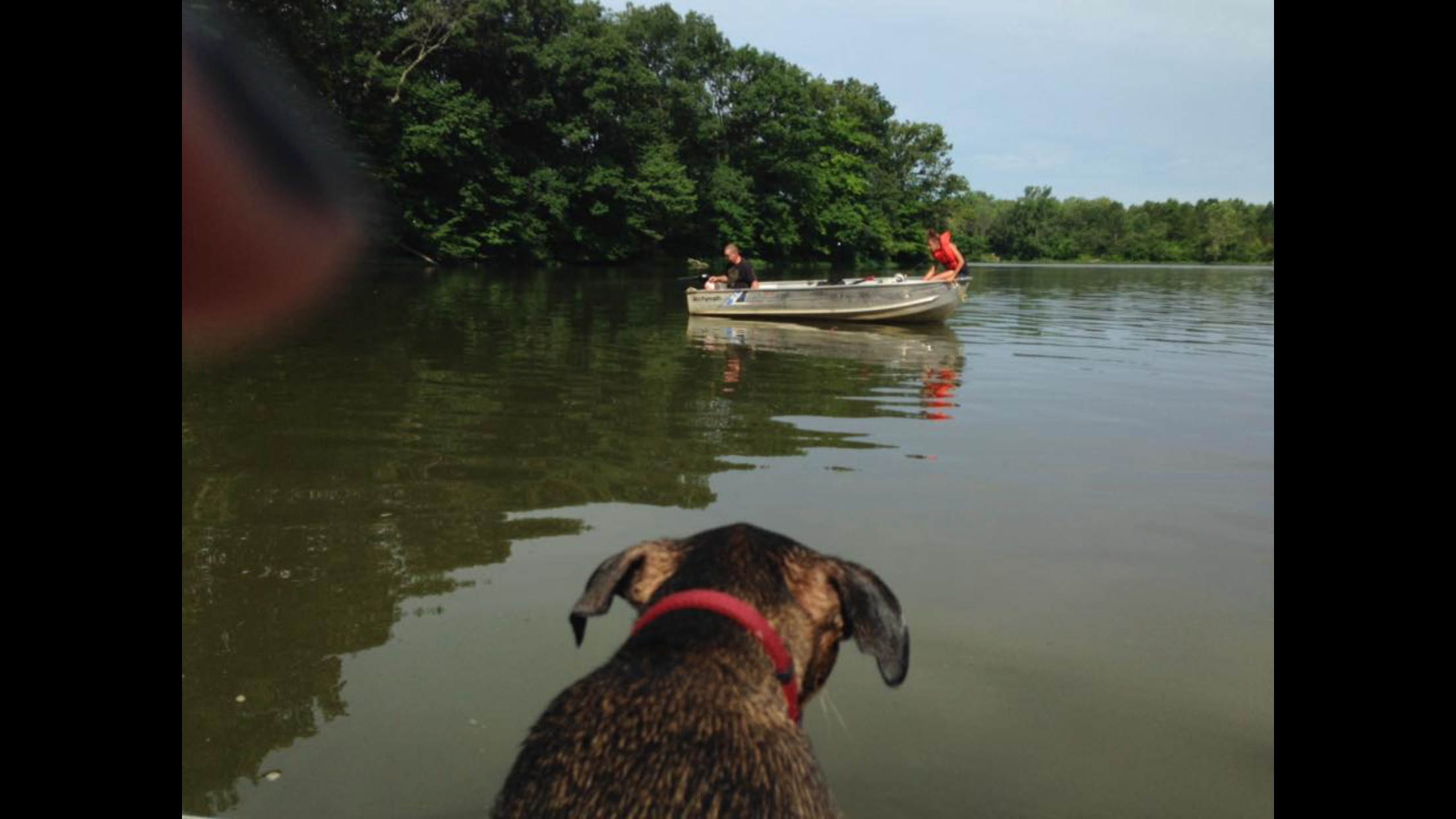 Melissa M.'s photo of camping with pets at A.W. Marion State Park Campground near Mount Sterling, OH
