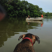 Review photo of A.W. Marion State Park Campground by Melissa M., February 27, 2019