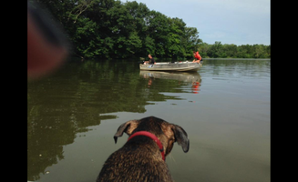 Melissa M.'s photo of camping with pets at A.W. Marion State Park Campground near Galena, OH