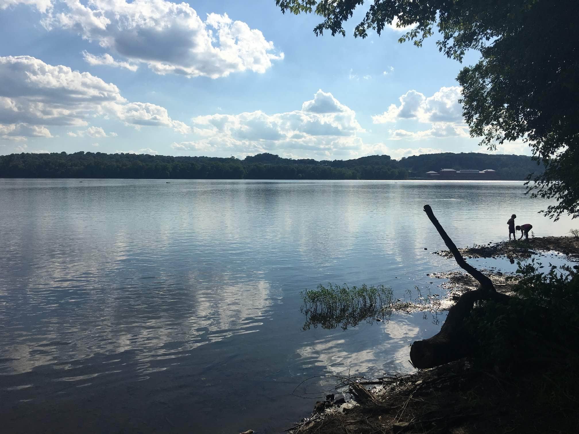 Camper-submitted photo at River Rock Recreation near Steelton, PA