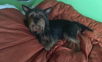 Megan S.'s photo of glamping accommodations at River Rock Recreation near Peach Bottom, PA