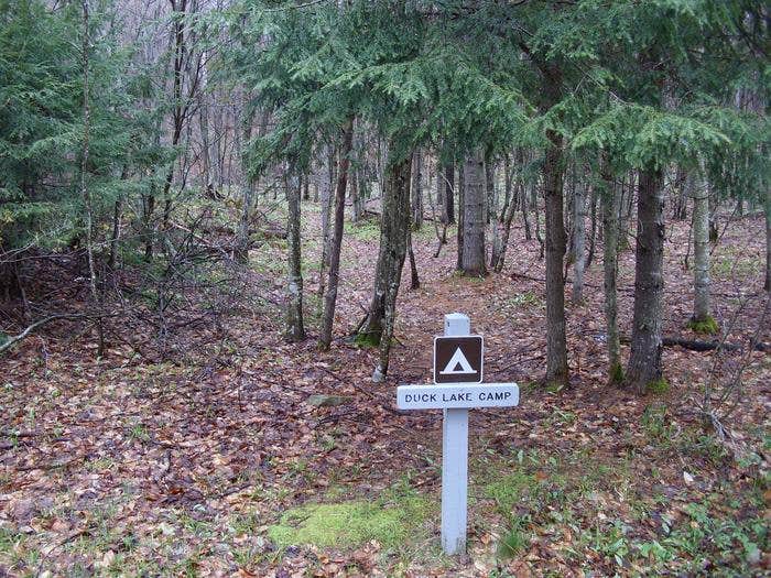 Camping near Little Dune II Campsite on Grand Island: Duck Lake Campsites on Grand Island, Munising, Michigan