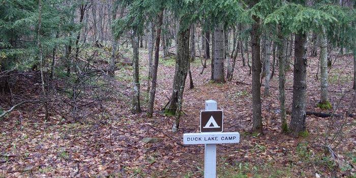 Camper submitted image from Duck Lake Campsites on Grand Island