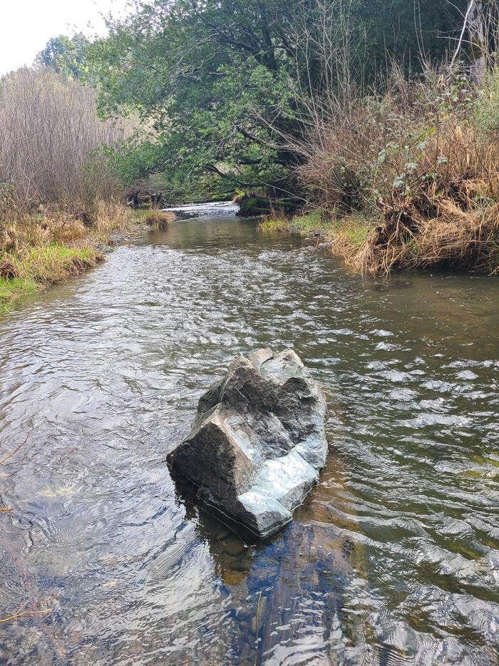 Camper submitted image from Leg Lake Campsites — Hiawatha National Forest - 1