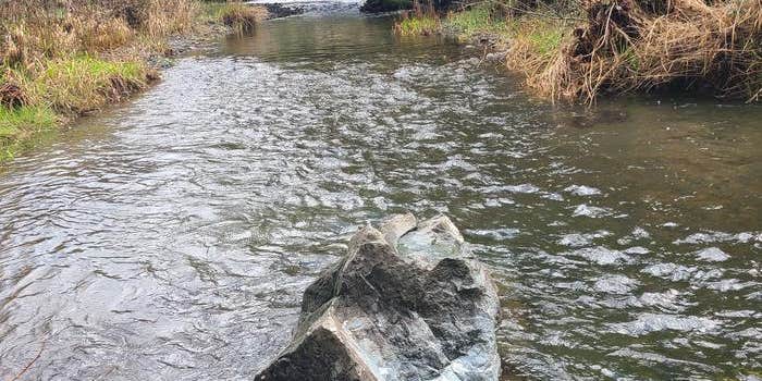 Camper submitted image from Leg Lake Campsites — Hiawatha National Forest