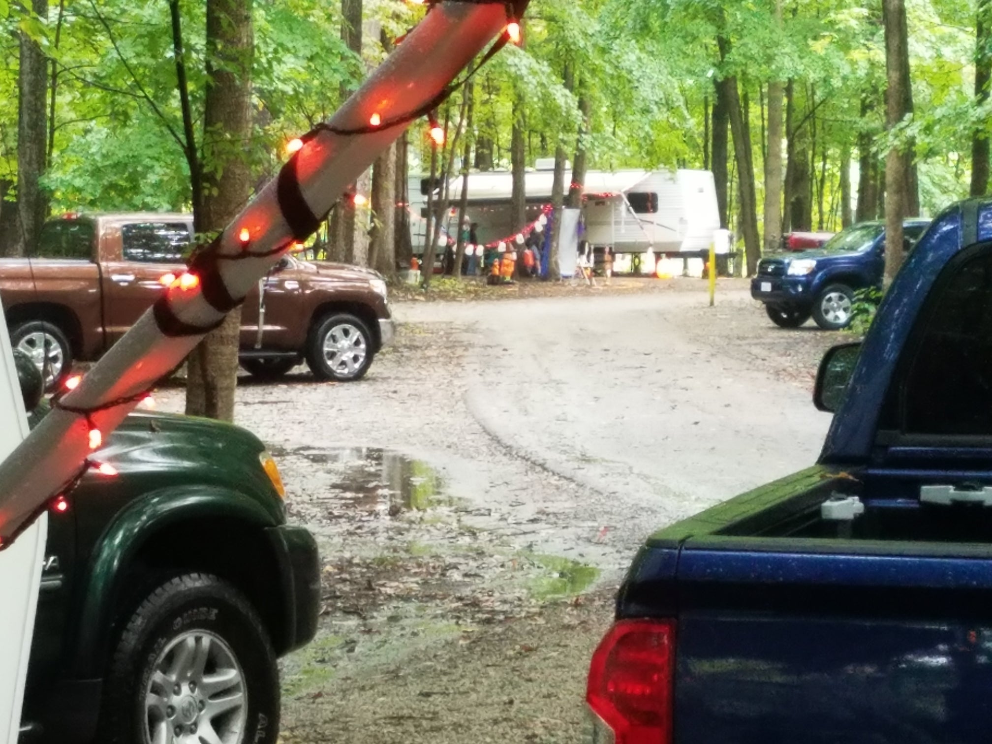 Camper submitted image from Walnut Point State Park Campground - 4