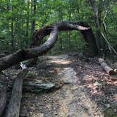 Review photo of Monte Sano State Park Campground by Montie R., March 2, 2019