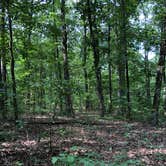 Review photo of Monte Sano State Park Campground by Montie R., March 2, 2019