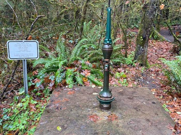 Camper submitted image from Cedar Grove Recreation Site - 1