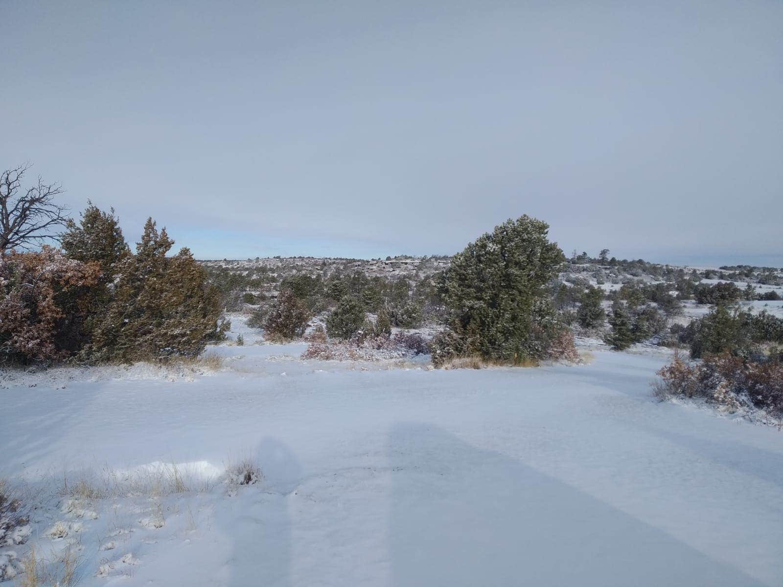 Camper-submitted photo at Mills Canyon Campground near Cimarron, NM