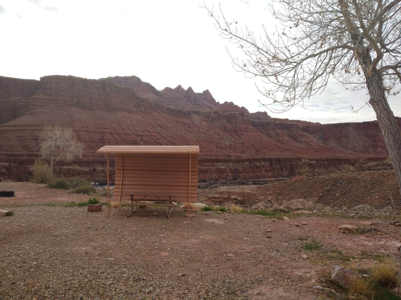 Camper submitted image from Lees Ferry Campground — Glen Canyon National Recreation Area - 3