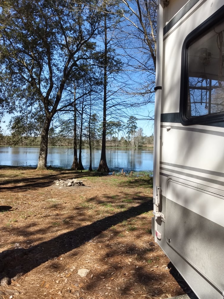 Camper submitted image from Holbrook Parish Park Campground - 1