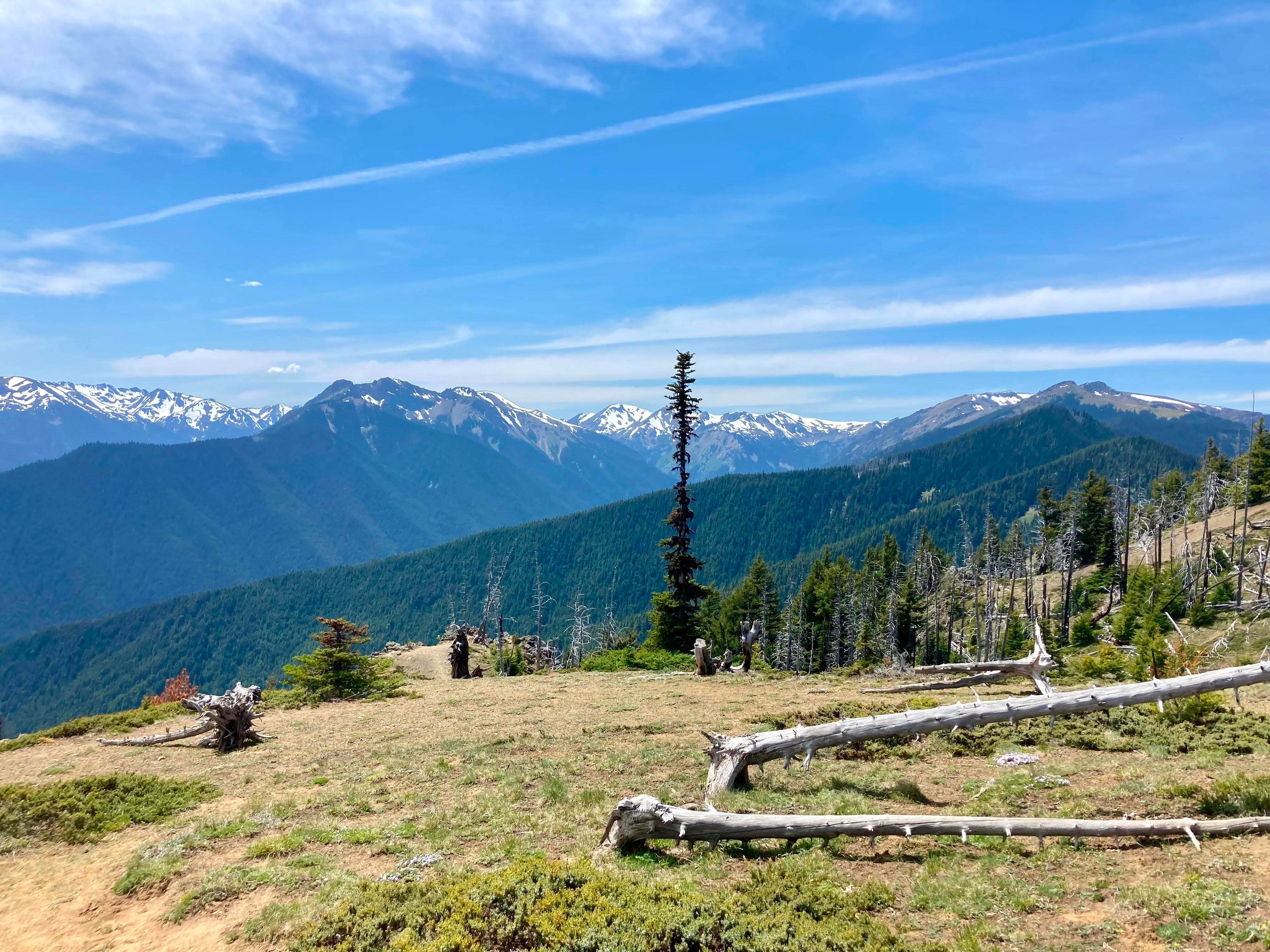 Deer park campground discount