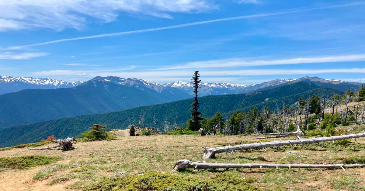 Deer Park Campground — Olympic National Park